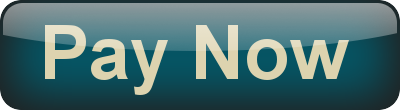 Pay Now Online