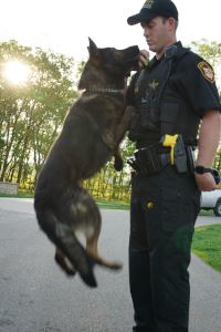 Image of Vello Jumping and Deputy Thobe