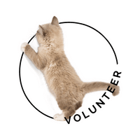 Black and White Minimal Monogram Logo (4)