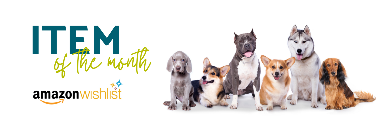 Adopt Volunteer Donate (Facebook Post) (Logo) (Facebook Cover)