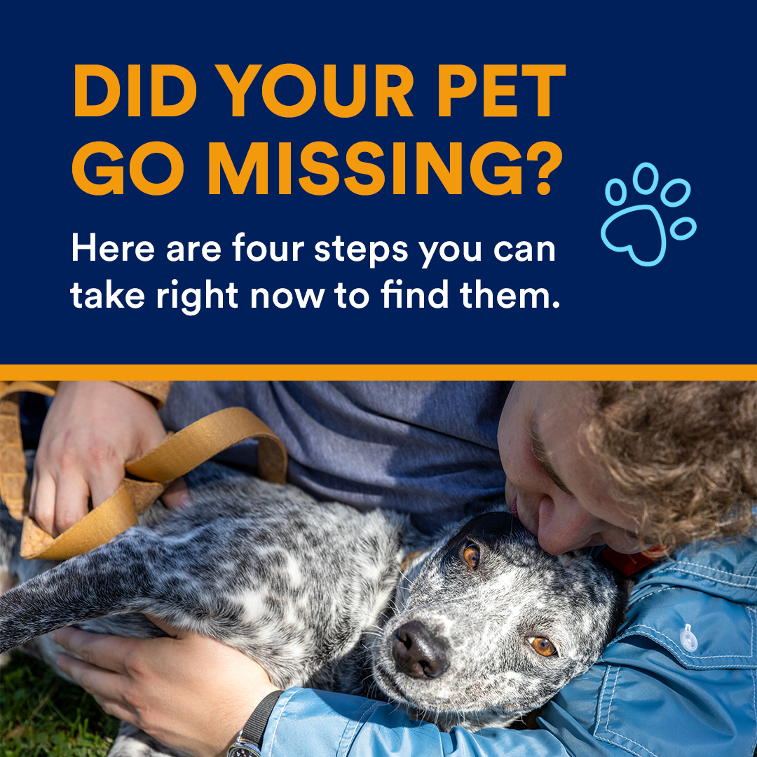 PLostPetPreventionMonth_InfoCarousel_Cover-Dog Opens in new window